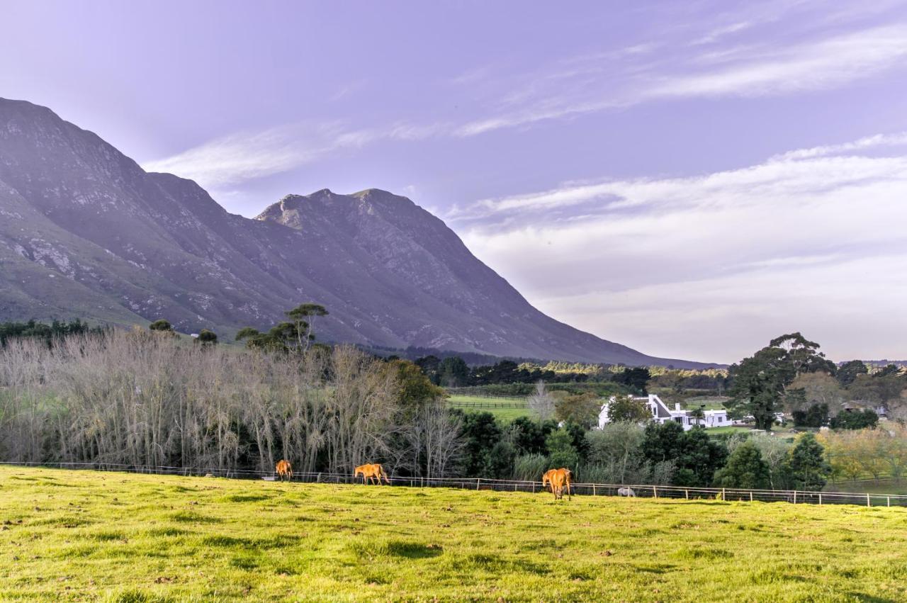 Hemel 'N Aarde Stud Hotel Hermanus Luaran gambar