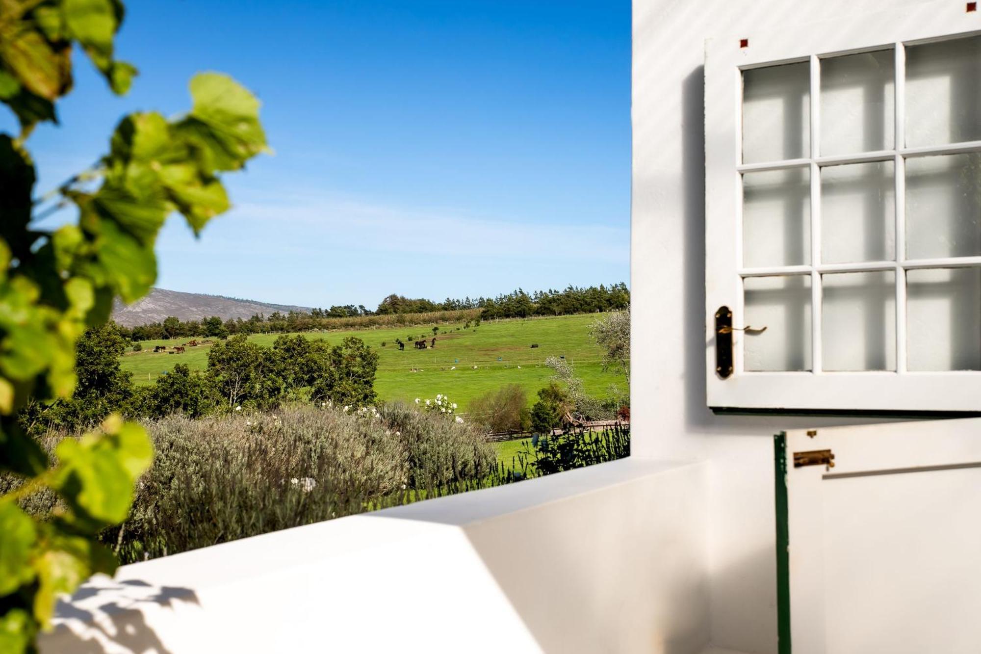 Hemel 'N Aarde Stud Hotel Hermanus Luaran gambar